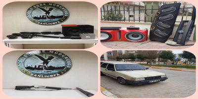 Şanlıurfa'da Oto Faresi Yakalandı