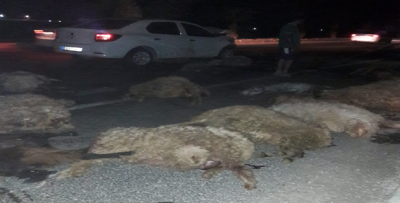 Şanlıurfa'da Otomobil Koyun Sürüsüne Daldı