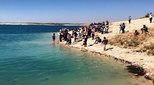 Şanlıurfa'da Parçalanmış Ceset Bulundu