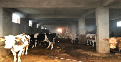 Şanlıurfa'da Samanlıkta Yangın Çıktı