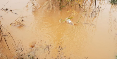 Şanlıurfa'da Şiddetli Yağış Nedeniyle Tarım Arazileri Sular Altında Kaldı