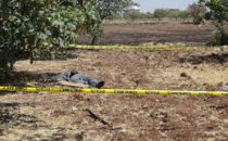 Şanlıurfa'da tarlada erkek cesedi bulundu