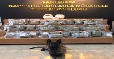 Şanlıurfa'da uyuşturucu operasyonu