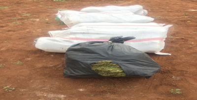 Şanlıurfa'da Uyuşturucu Operasyonu