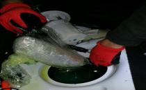 Şanlıurfa'da Uyuşturucu Operasyonları