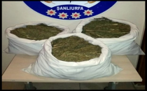 Şanlıurfa'da uyuşturucu operasyonu