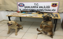 Şanlıurfa'da uyuşturucu ve silah operasyonu