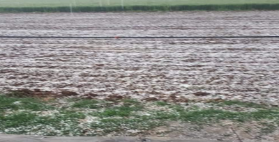 Şanlıurfa'da yağmur ve dolu etkili oldu