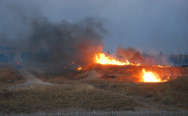 Şanlıurfa'da yangın korkuya neden oldu