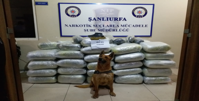 Şanlıurfa'da zehir tüccarlarına yönelik başarılı operasyon!