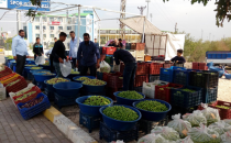 Şanlıurfa'da Zeytinciler Derneği Kuruldu