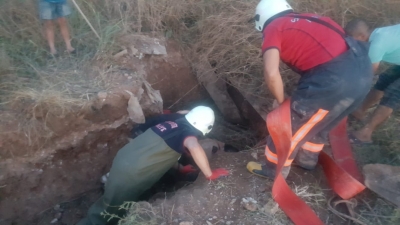 Şanlurfa''da Çukura Düşen İneğii İtfaiye Kurtardı