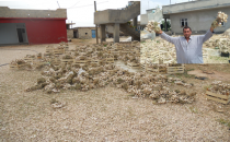 Sarımsak üreticiyi memnun etmedi