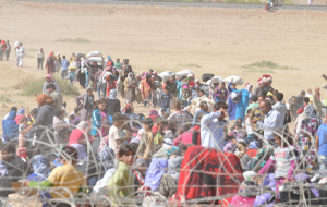 Savaş Urfa sınırına dayandı