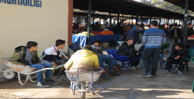 Sebze ve Meyve Taşıyarak Harçlıklarını Çıkarıyorlar