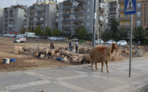 Şehirde satışlar memnun etmedi