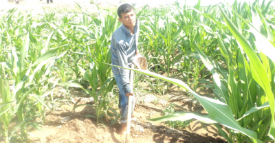 Sıcak Hava Sulamayı Etkiliyor