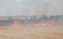 Sınırda tarla yangını