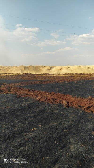 Siverek'te buğday ekili alan yandı