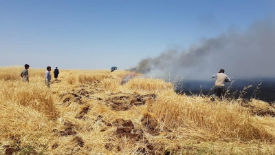 Siverek'te Ekili Arazide Yangın Çıktı