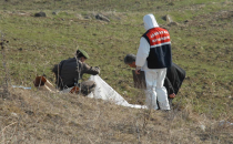 Siverek'te Kadın Cesedi Bulundu