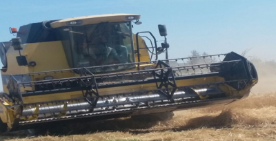 Sonbahar Ve Kışın Etkili Olan Yağışlar Nedeniyle Rekolte Artışı Bekliyor