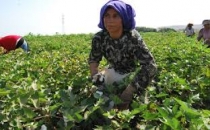 "Sorunu Parçalara Ayırarak Çözmeye Çalışmalıyız"