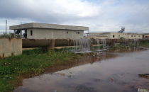 Sular tarlayı değil köyü gölete çevirdi