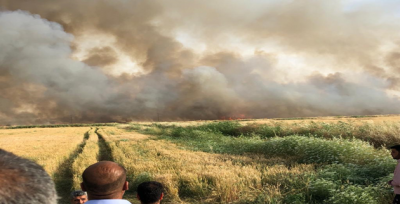 Suriye'de Çıkan Anız Yangını Akçakale'ye Sıçradı