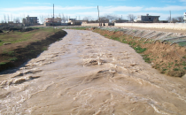 Suriyeli çiftçilerin yağış sevinci