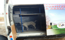 Suruç Belediyesinden Yeni Bir Hizmet Daha ...