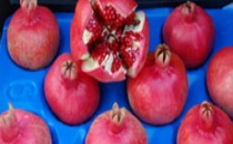 Suruç nar'ı pazarda