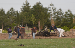 Suruç'ta bombalı araç patlatıldı