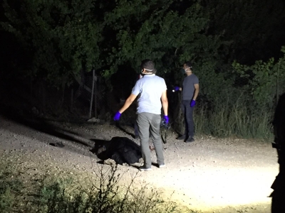 Haliliye'de silahlı kavga, 2 ölü