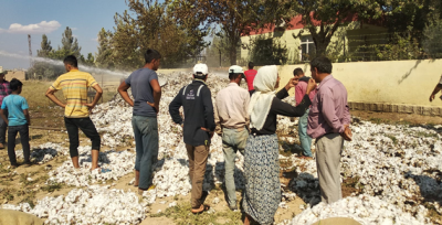 Suruç'ta Tonlarca Pamuk Alev Aldı!
