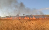 Suruç'un 6 Köyünde Korkutan Anız Yangını