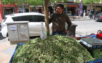 Süt bademi satışta