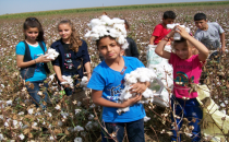 Tarladakilerin derz zili çalmadı