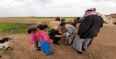 Telabyad'da Tarım ve Hayvancılık Canlanıyor