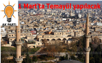 Temayül yoklaması 1 Mart'ta