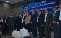 Temayül Yoklaması‏