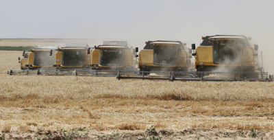 TİGEM Ceylanpınar'da hasat zamanı