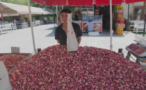 Urfa fıstığı pazarda yerini aldı