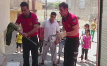 Urfa itfaiyesi kediyi özgürlüğüne kavuşturdu