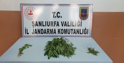 Urfa Jandarmadan Operasyon