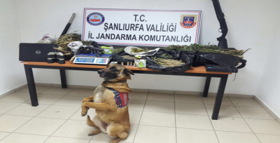 Urfa Jandarmadan Uyuşturucu Operasyonu