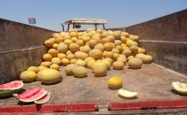 Urfa kavununa rağbet başladı