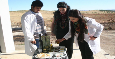 Urfa'da 40 Tonluk Zeytin Tesisi Kuruldu