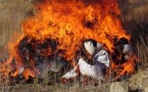 Urfa'da 8 ton uyuşturucu imha edildi