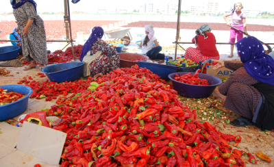 Urfa'da Acı Günler Başladı